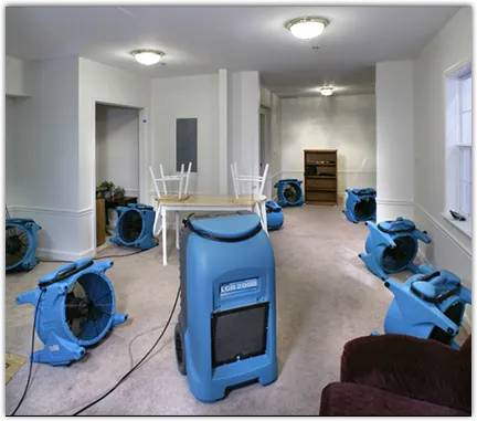 Contents Cleaning & Restoration in Port Allen, LA