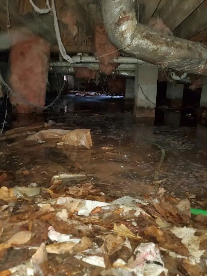 Crawl space flood assessment for Commercial Water Damage Restoration in Port Allen